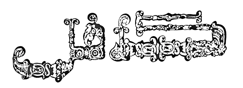 گوشواره ضد حساسیت